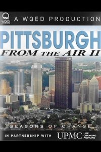 Pittsburgh From the Air II (2012)