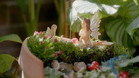 Teeny Tiny Garden