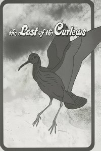 The Last of the Curlews