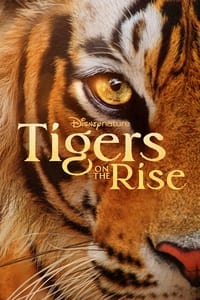 Poster de Tigers on the Rise