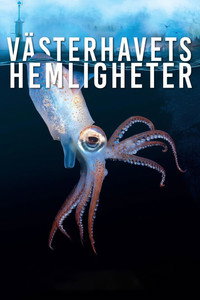 Imagem do Filme Västerhavets Hemligheter