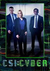 Постер сериала «CSI: Киберпространство (2015 - 2016)» — (3 из 12)