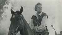 «Золотой Ястреб (1952)» — обои к фильму #1