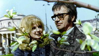 «Нет розы без огня (1974)» — обои к фильму #8