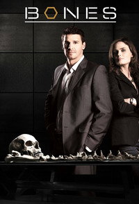 Постер сериала «Кости (2005 - 2017)» — (52 из 181)