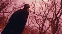 Обои к фильму «Я слышал шёпот аммонита (1992)» — (14 из 22)