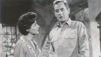 «Дерзкий и смелый (1956)» — обои к фильму #1