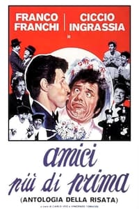 Poster de Amici più di prima