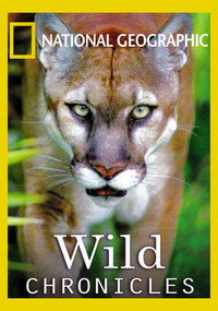 Wild Chronicles