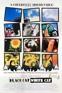 movie-images