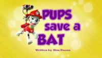 Pups Save a Bat