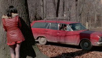 «Abduction of an American Playgirl (1975)» — обои к фильму #3
