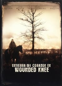 Poster de Entierren Mi Corazón En Wounded Knee