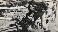 «The Phantom Stockman (1953)» — обои к фильму #1