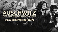 The extermination
