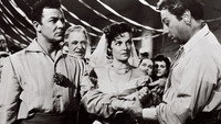 «Горячая кровь (1956)» — обои к фильму #4