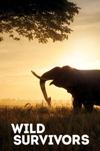 Постер сериала «Wild Survivors (2017)» — (2 из 2)