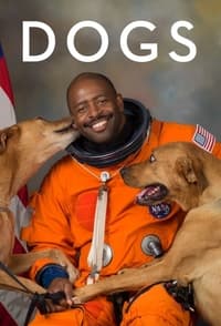 Cover of the Season 2 of Dogs