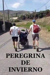 Peregrina de inverno (2026) poster