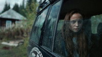 «Территория (2020-2023)» — обои к сериалу #2
