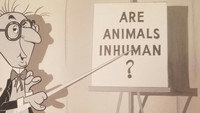 «Unnatural History (1959)» — обои к мультфильму #1