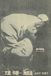 Poster do Filme 석녀