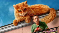 «Котострофа (2023)» — обои к сериалу #3