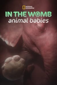 tv show poster In+the+Womb%3A+Animal+Babies 2022