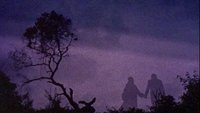 Curse of the Vampires
