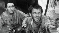 «Альпийская баллада (1965)» — обои к фильму #1