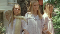 Virgin suicides