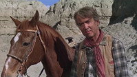 «Редкая порода (1966)» — обои к фильму #6