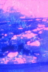 Постер фильма «Hardwood Process (1996)» — (2 из 2)
