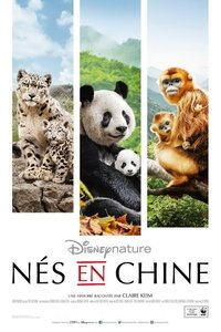 movie-images