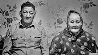 «Метаморфозы (2013)» — обои к фильму #1