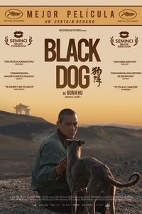 Poster de Black dog