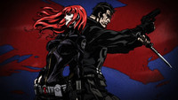 Avengers Confidential: Black Widow & Punisher