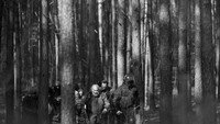 Обои к фильму «Зелёная граница (2023)» — (11 из 32)