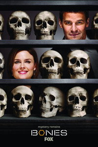 Постер сериала «Кости (2005 - 2017)» — (49 из 181)