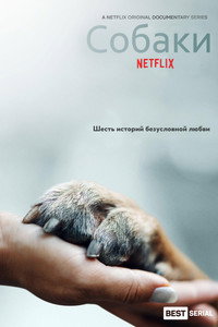 Постер сериала «Друг человека (2018)» — (3 из 7)