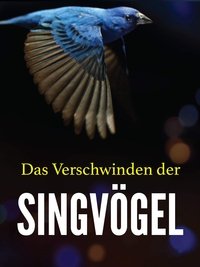 movie_cover
