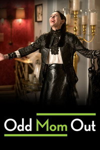 Постер сериала «Неправильная мама (2015-2017)» — (2 из 13)