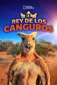 Poster de The Kangaroo King