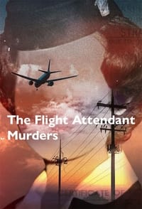 copertina serie tv The+Flight+Attendant+Murders 2023