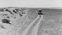 «Австралийская глубинка (1954)» — обои к фильму #1