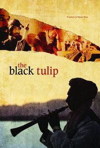 Постер фильма «Черный тюльпан (2010)» — (2 из 3)