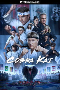 Постер сериала «Кобра Кай (2018-2025)» — (11 из 146)