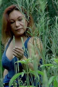 Imagem do Filme Tembiapo Pyharegua