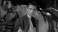Обои к фильму «Незнакомец у моей двери (1956)» — (12 из 20)