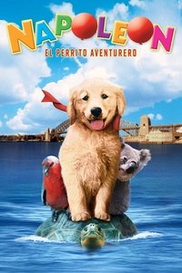 Poster de Napoleón, el perrito aventurero
